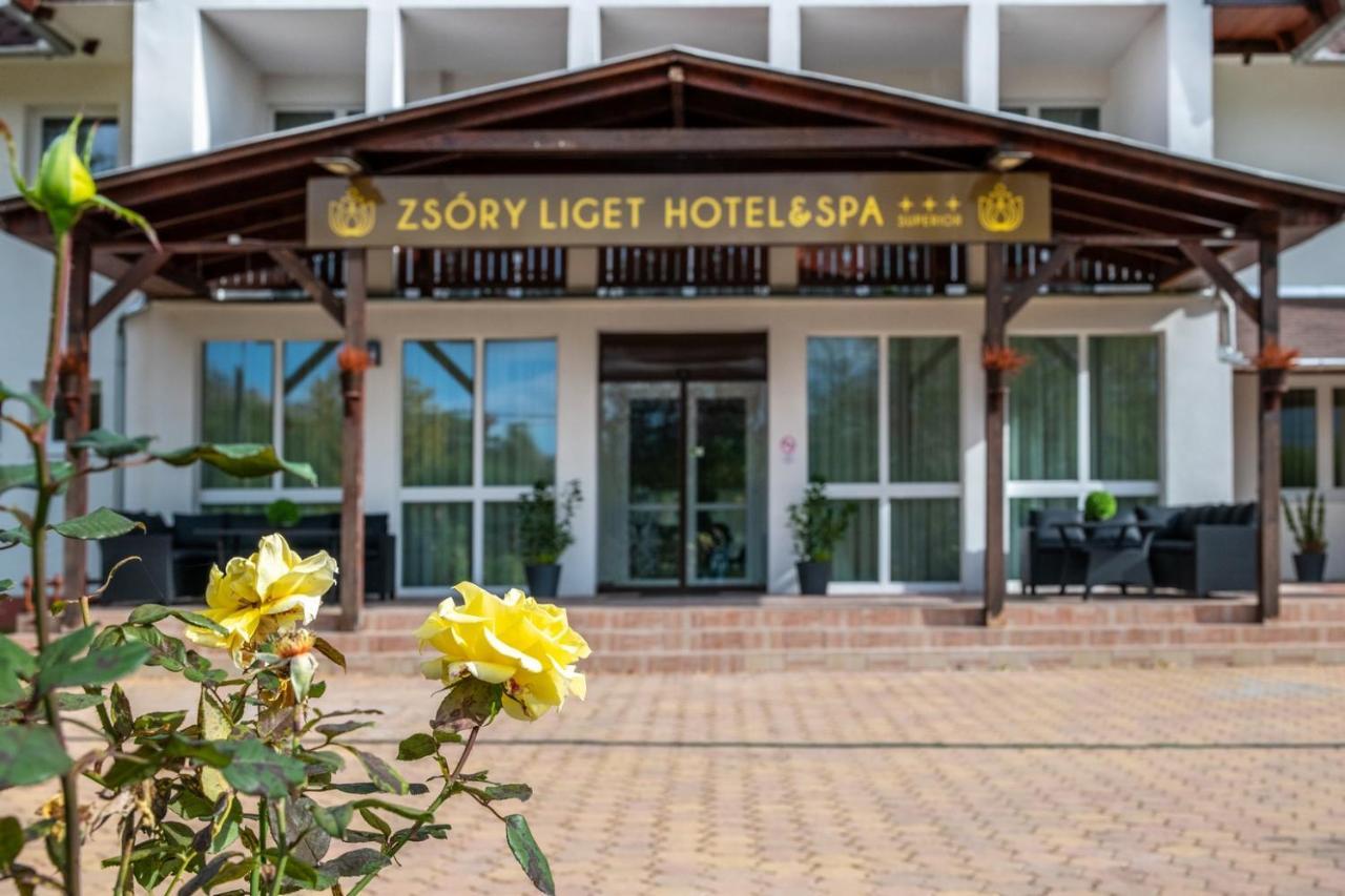 Zsory Liget & Superior Hotel Mezokovesd